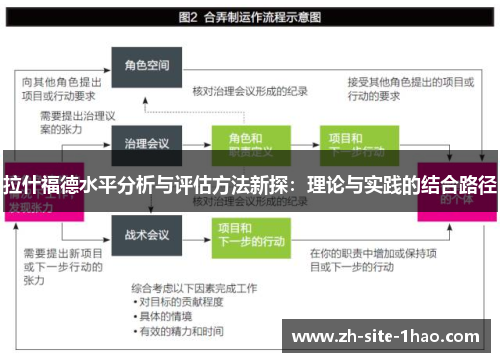 拉什福德水平分析与评估方法新探：理论与实践的结合路径