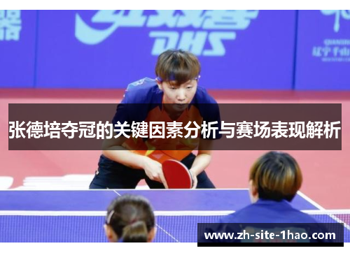 张德培夺冠的关键因素分析与赛场表现解析