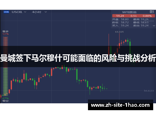 曼城签下马尔穆什可能面临的风险与挑战分析