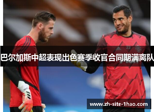 巴尔加斯中超表现出色赛季收官合同期满离队 巴尔加斯中超表现出色赛季收官合同期满离队