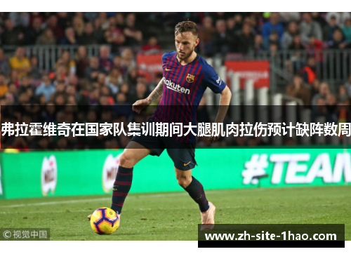 弗拉霍维奇在国家队集训期间大腿肌肉拉伤预计缺阵数周