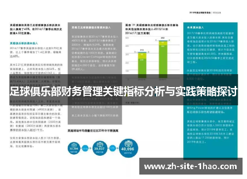 足球俱乐部财务管理关键指标分析与实践策略探讨 足球俱乐部财务管理关键指标分析与实践策略探讨