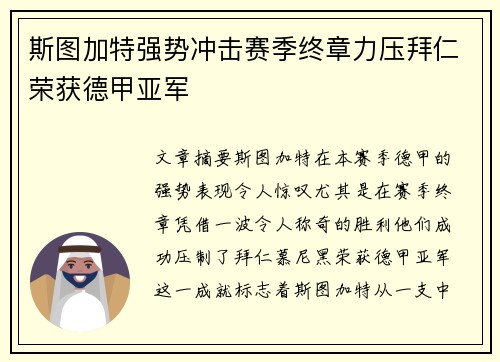 斯图加特强势冲击赛季终章力压拜仁荣获德甲亚军